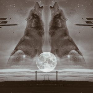 two wolves story